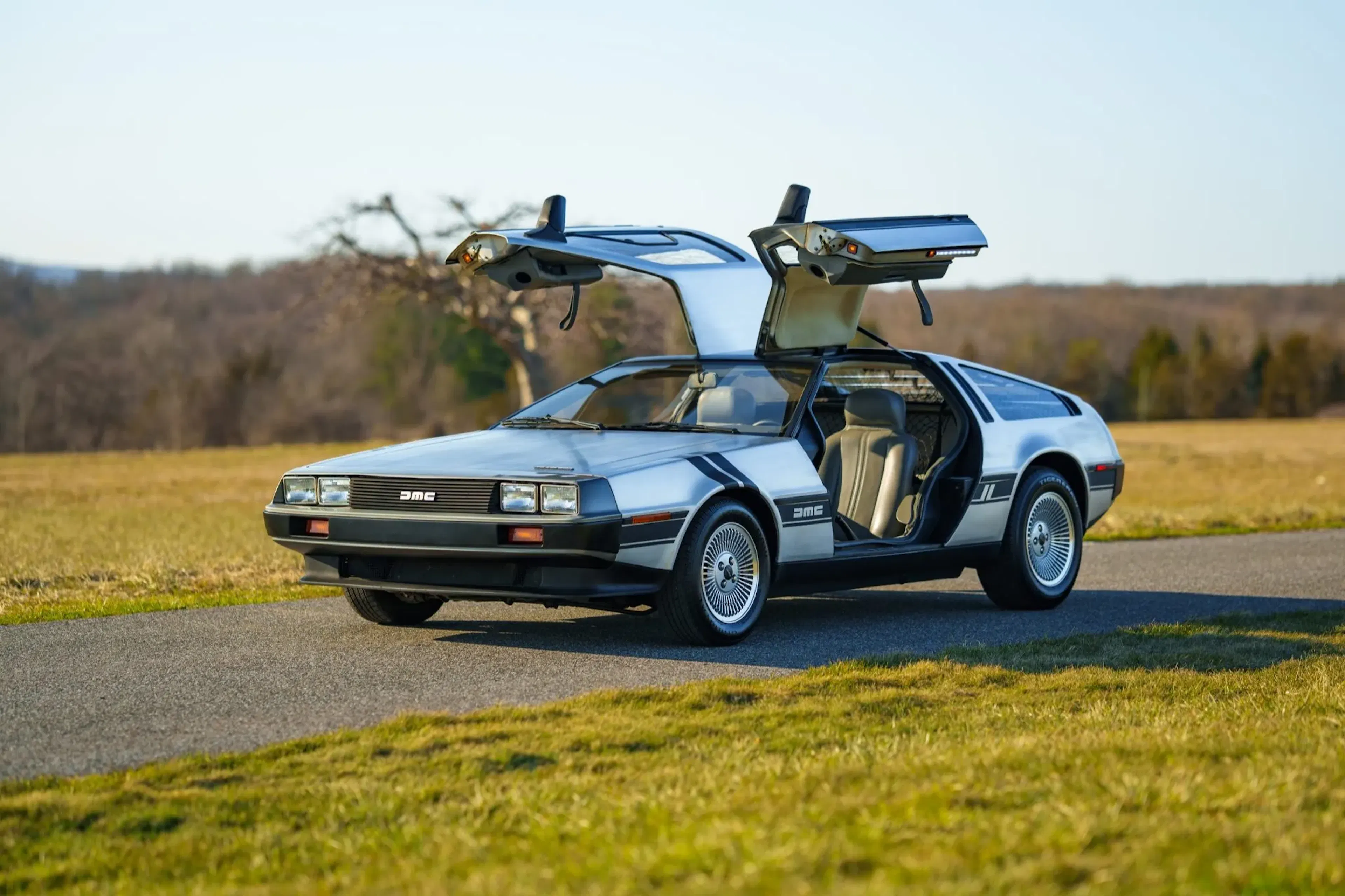 12。グエン・ティ・テュイ・リエン 1981 Delorean DMC-12 VIN SCEDT26T4BD006097 | Hagerty Valuation Tools®